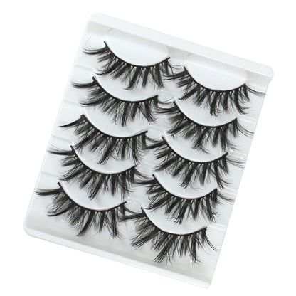 5 Pairs Lashes  Mink Lashes Faux Eyelashes