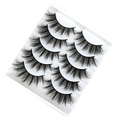 5 Pairs Lashes  Mink Lashes Faux Eyelashes